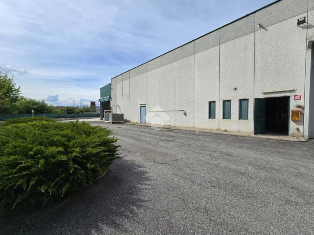 immagine annuncio 2 di 10