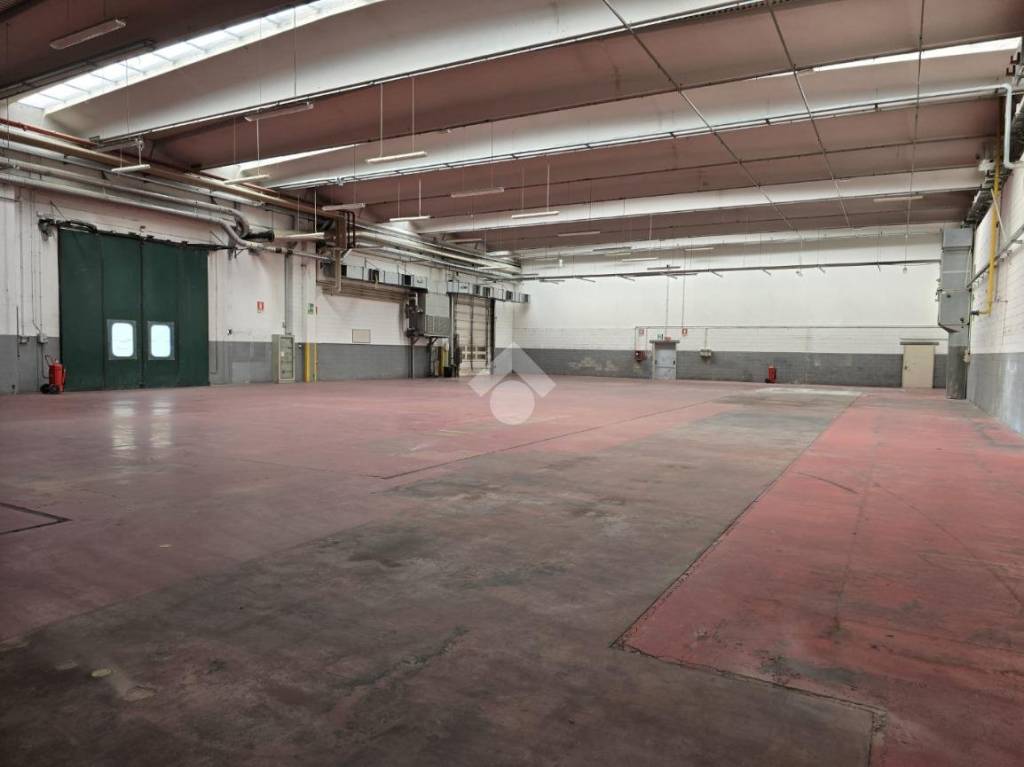 immagine annuncio 5 di 10