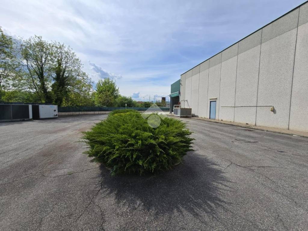 immagine annuncio 9 di 10