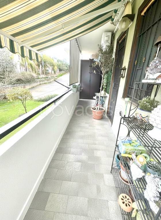 immagine annuncio 12 di 14