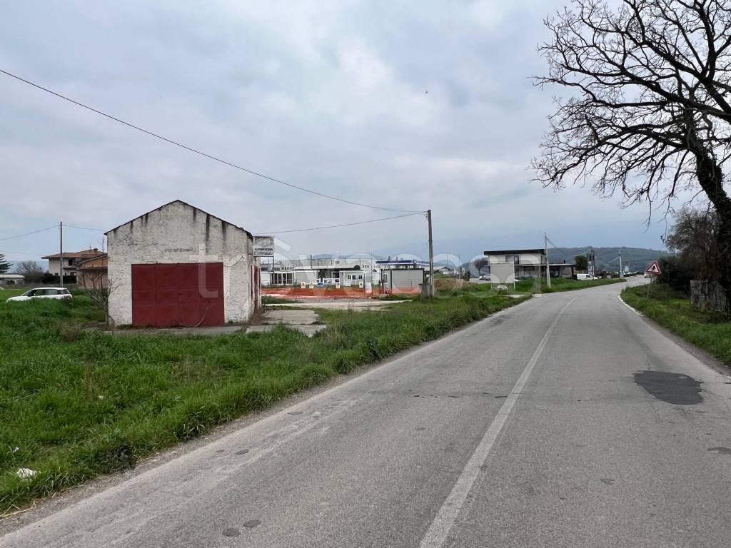 immagine annuncio 1 di 13