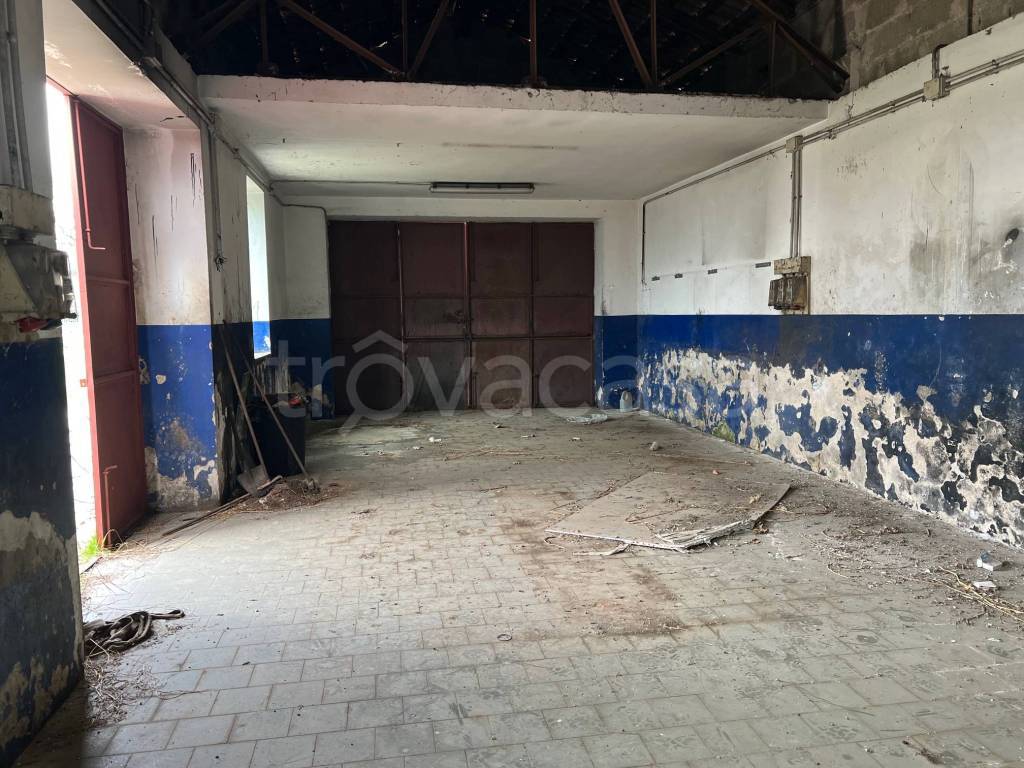 immagine annuncio 4 di 13