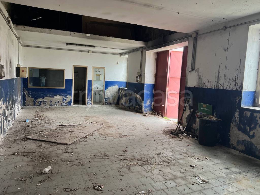 immagine annuncio 3 di 13