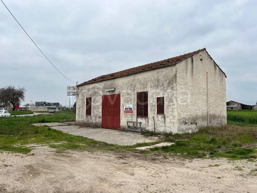 immagine annuncio 8 di 13