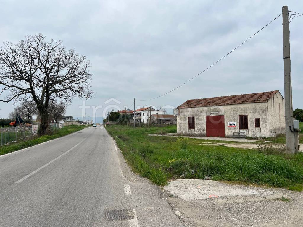 immagine annuncio 9 di 13