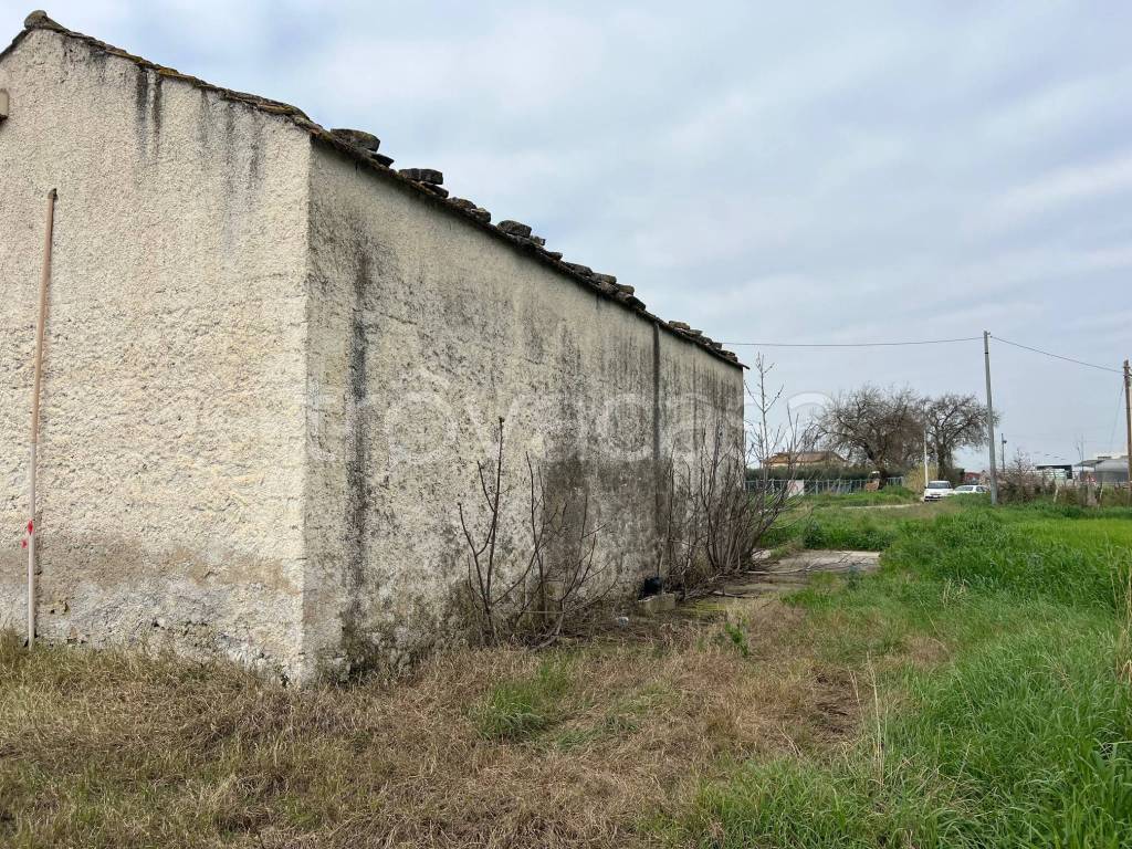 immagine annuncio 10 di 13