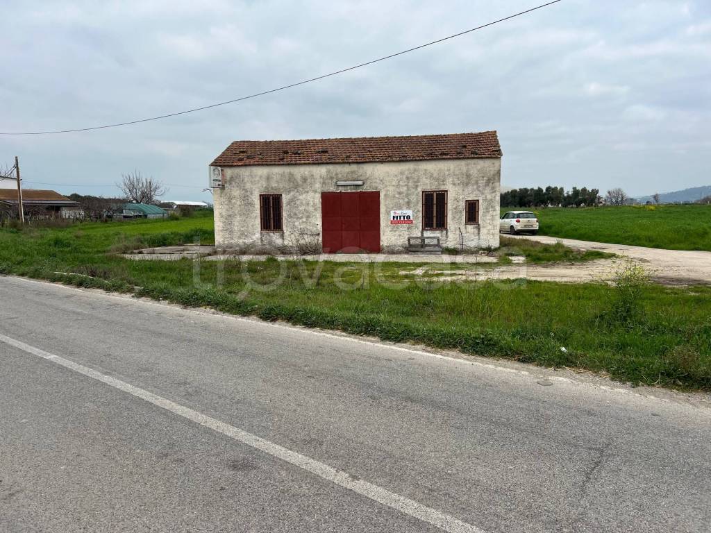 immagine annuncio 11 di 13