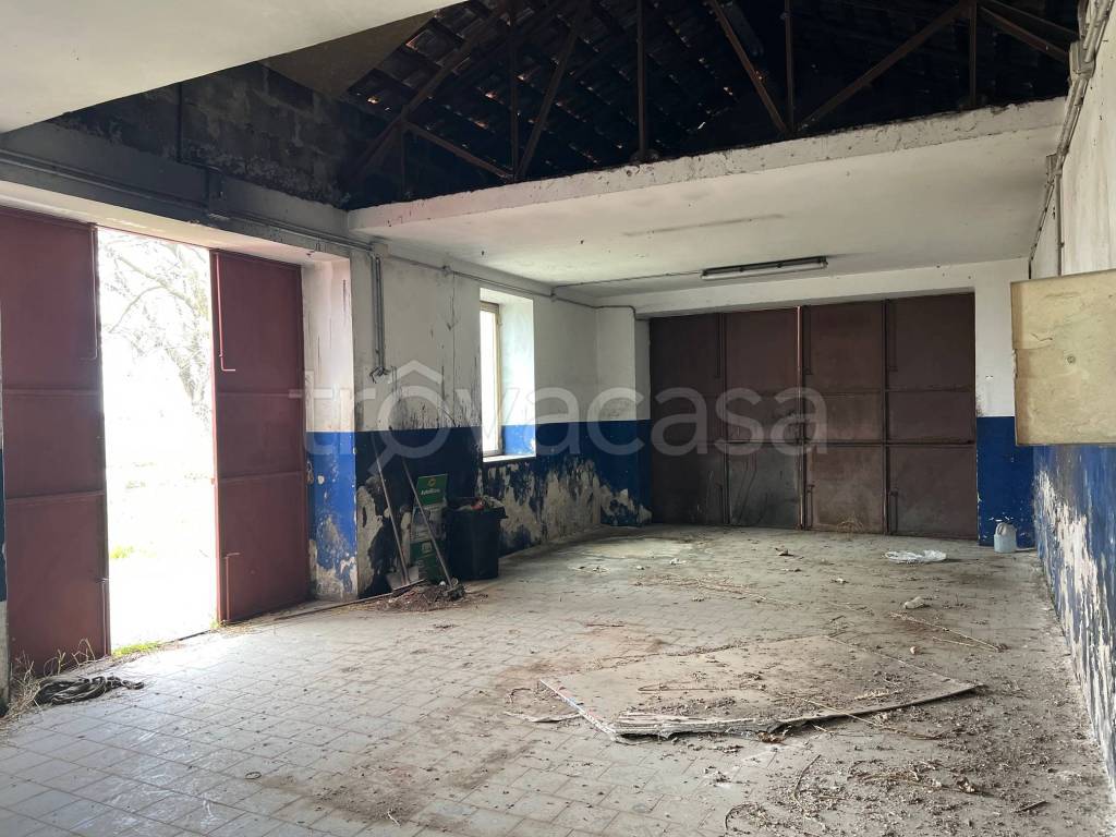 immagine annuncio 2 di 13