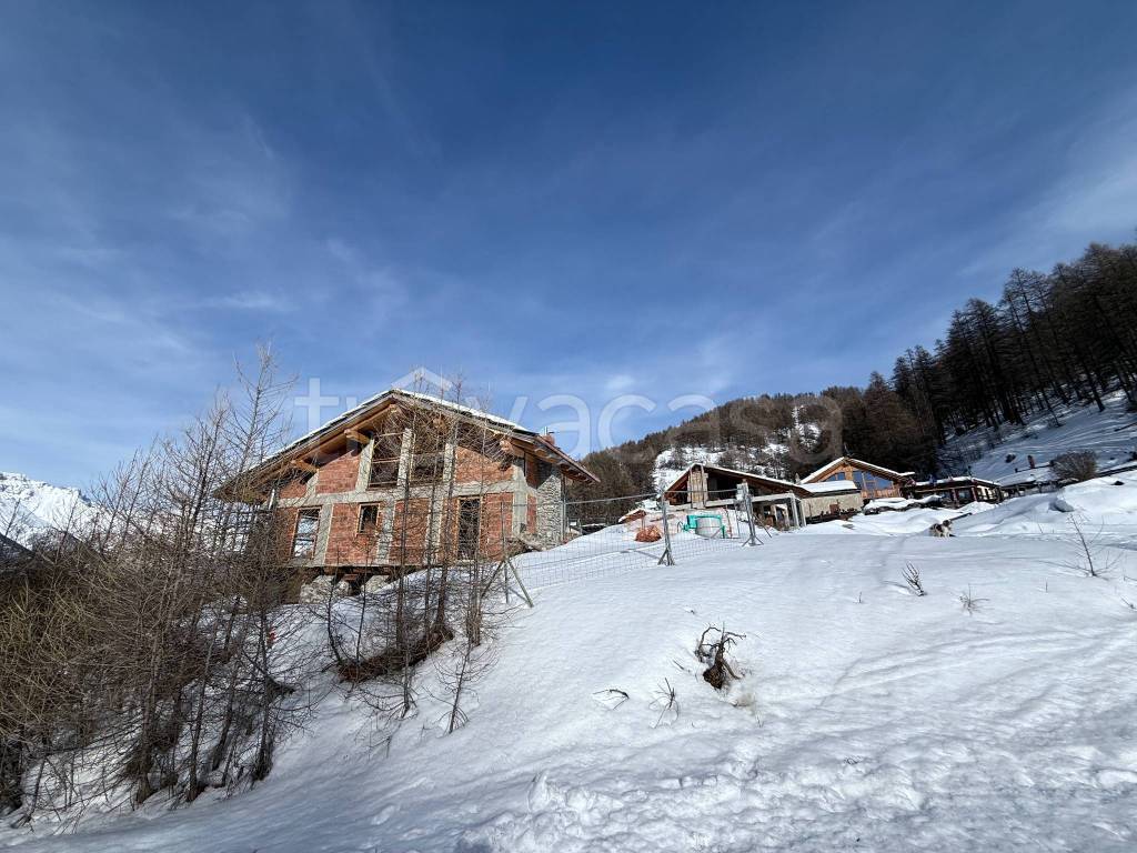 immagine annuncio 1 di 12