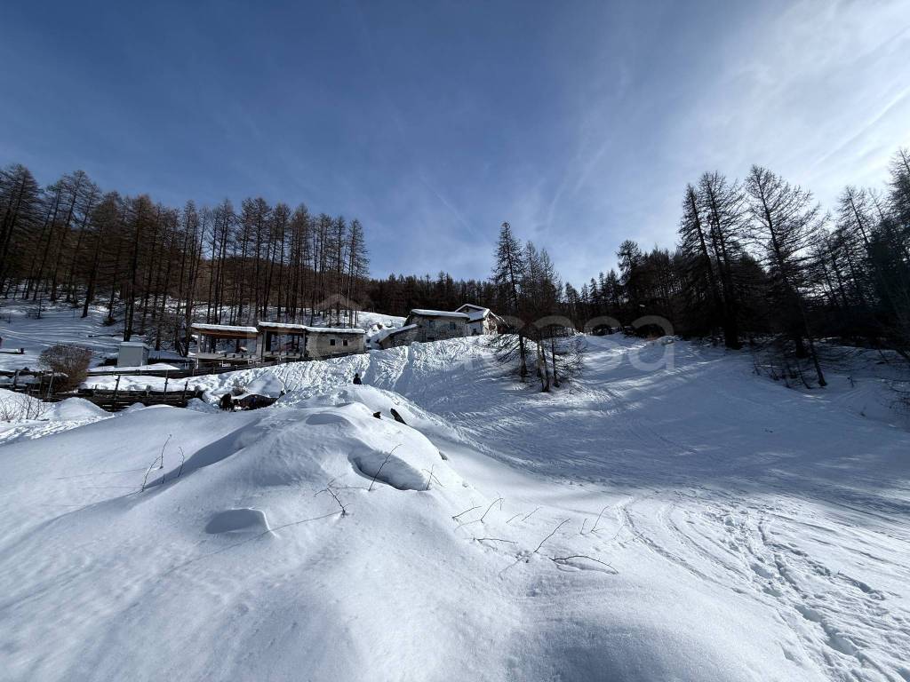 immagine annuncio 5 di 12