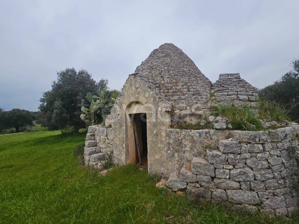 immagine annuncio 1 di 8