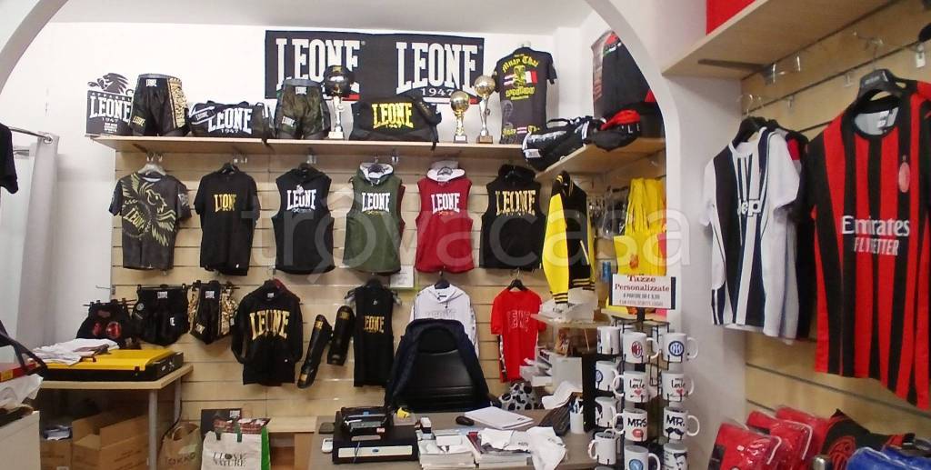 immagine annuncio 3 di 14