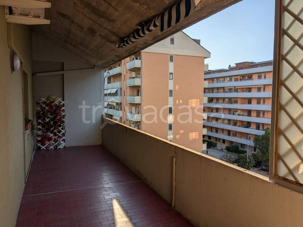 immagine annuncio 10 di 12