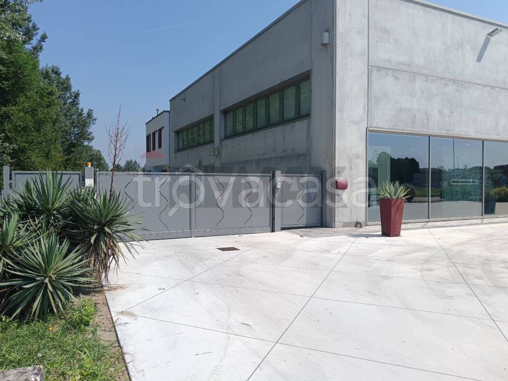 immagine annuncio 2 di 11