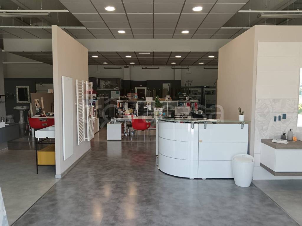 immagine annuncio 4 di 11