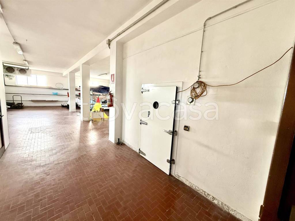 immagine annuncio 5 di 13