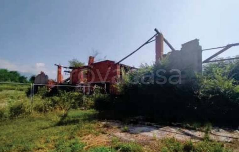 immagine annuncio 3 di 8