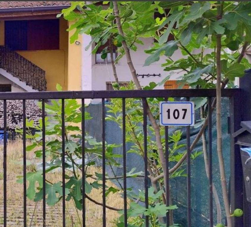 immagine annuncio 2 di 11