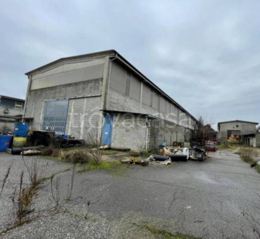 immagine annuncio 7 di 11