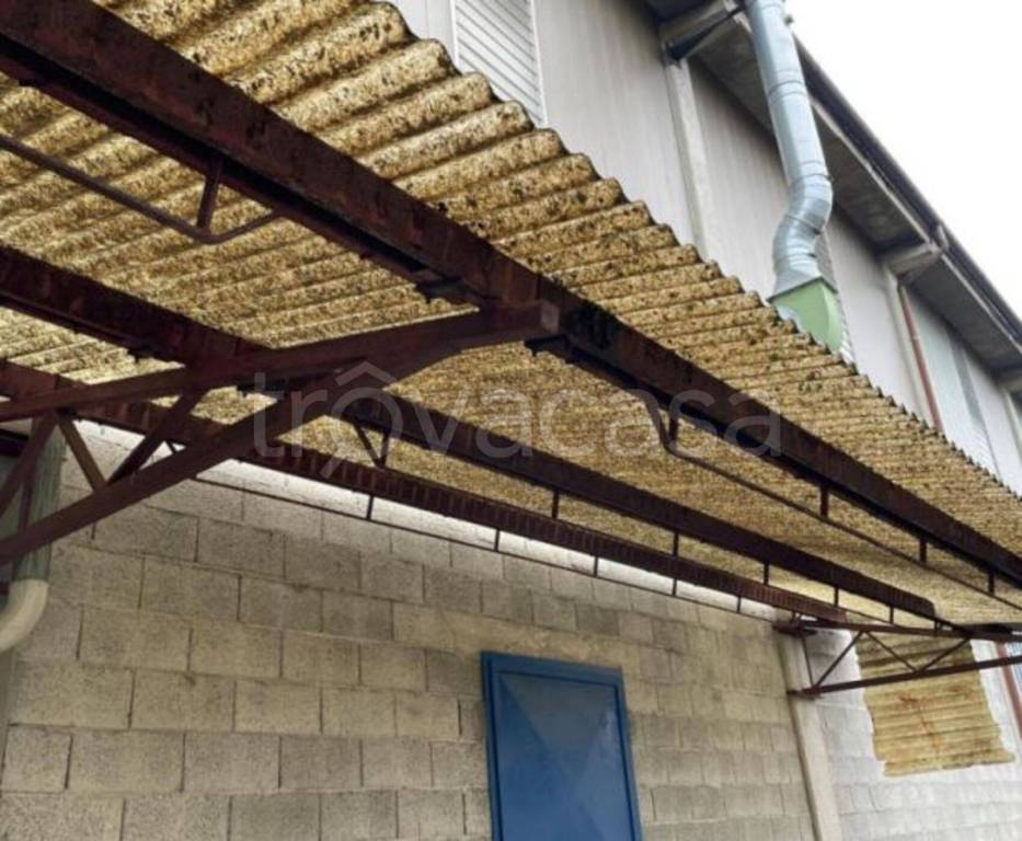 immagine annuncio 8 di 11