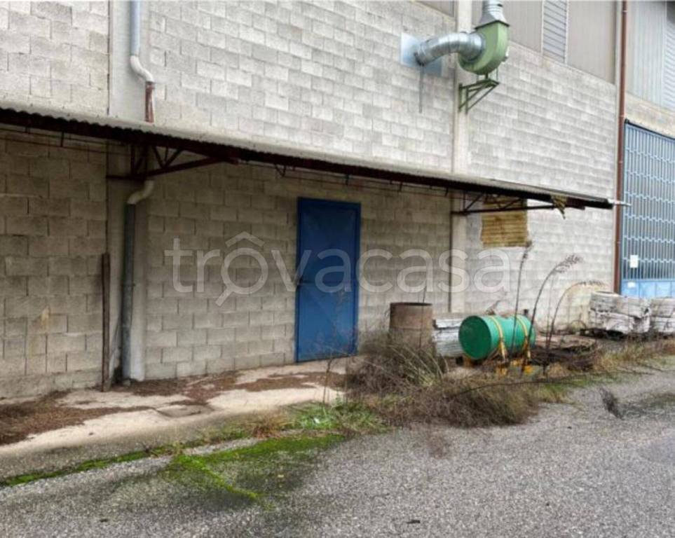 immagine annuncio 9 di 11