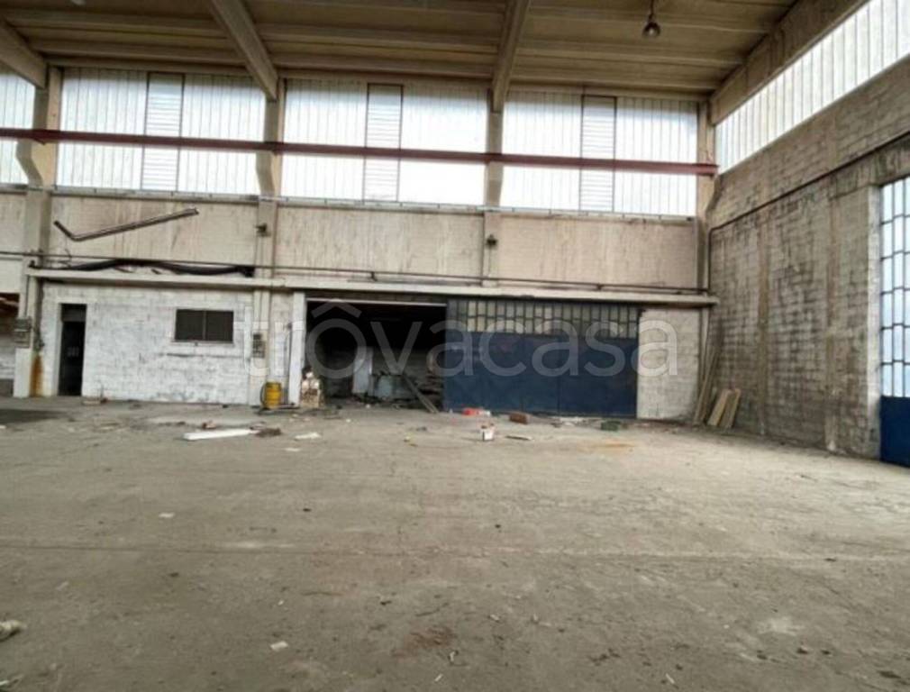 immagine annuncio 10 di 11