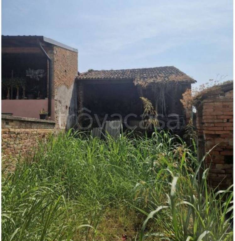 immagine annuncio 3 di 11