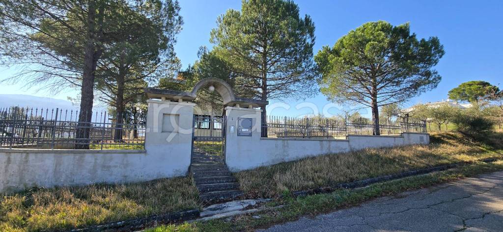 immagine annuncio 13 di 15