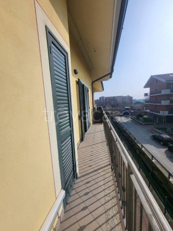 immagine annuncio 9 di 12