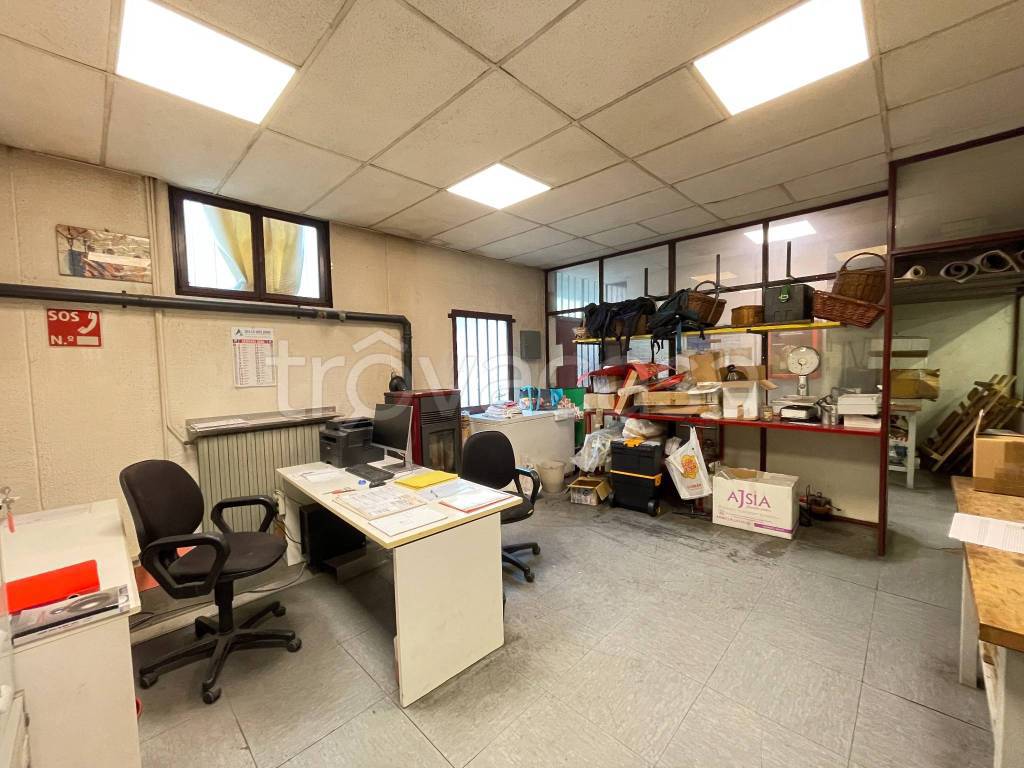 immagine annuncio 11 di 15