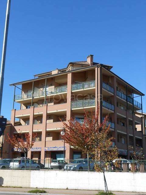 immagine annuncio 1 di 12