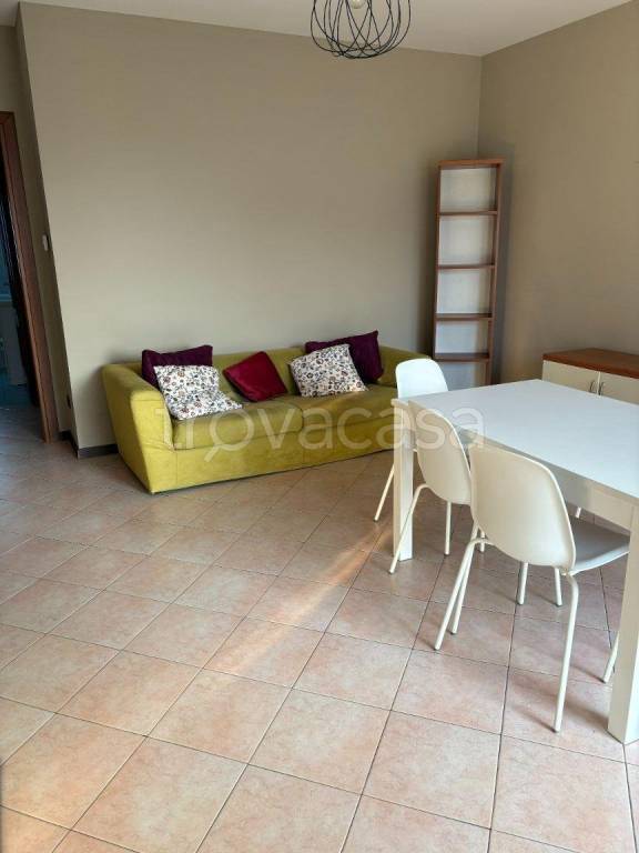 immagine annuncio 5 di 12