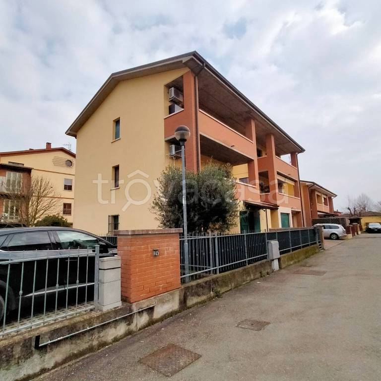 immagine annuncio 9 di 13