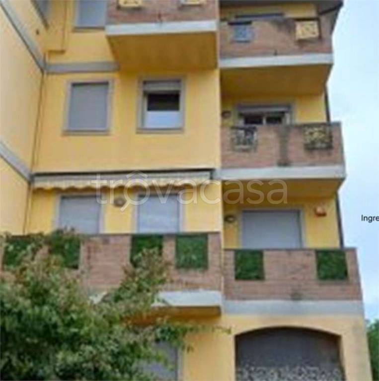 immagine annuncio 10 di 11