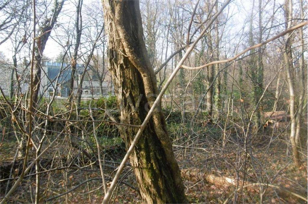 immagine annuncio 11 di 13