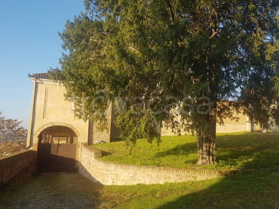 immagine annuncio 4 di 12