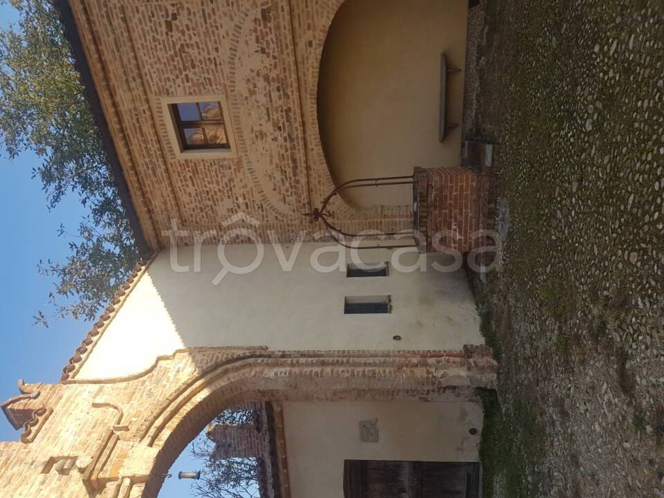 immagine annuncio 5 di 12