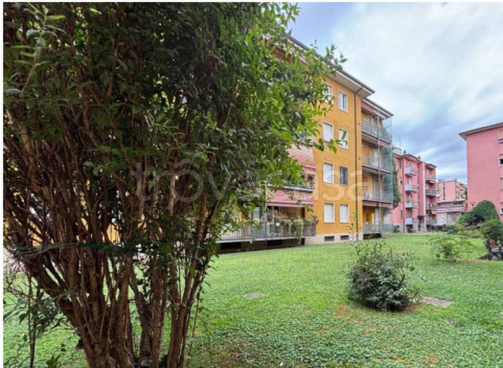 immagine annuncio 4 di 10