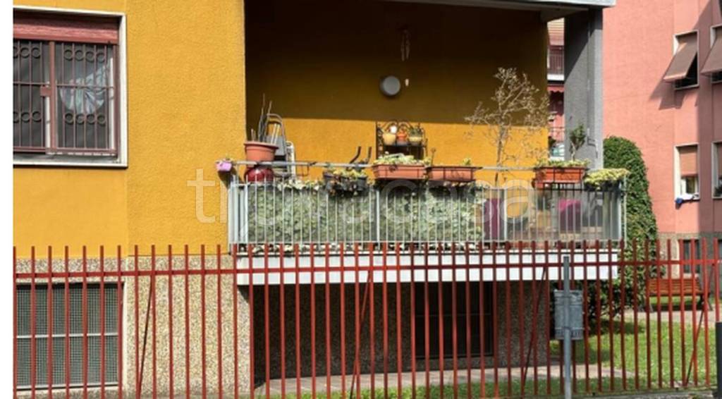 immagine annuncio 7 di 10