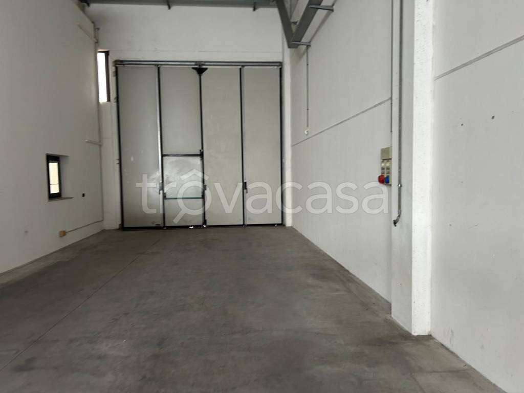 immagine annuncio 8 di 12