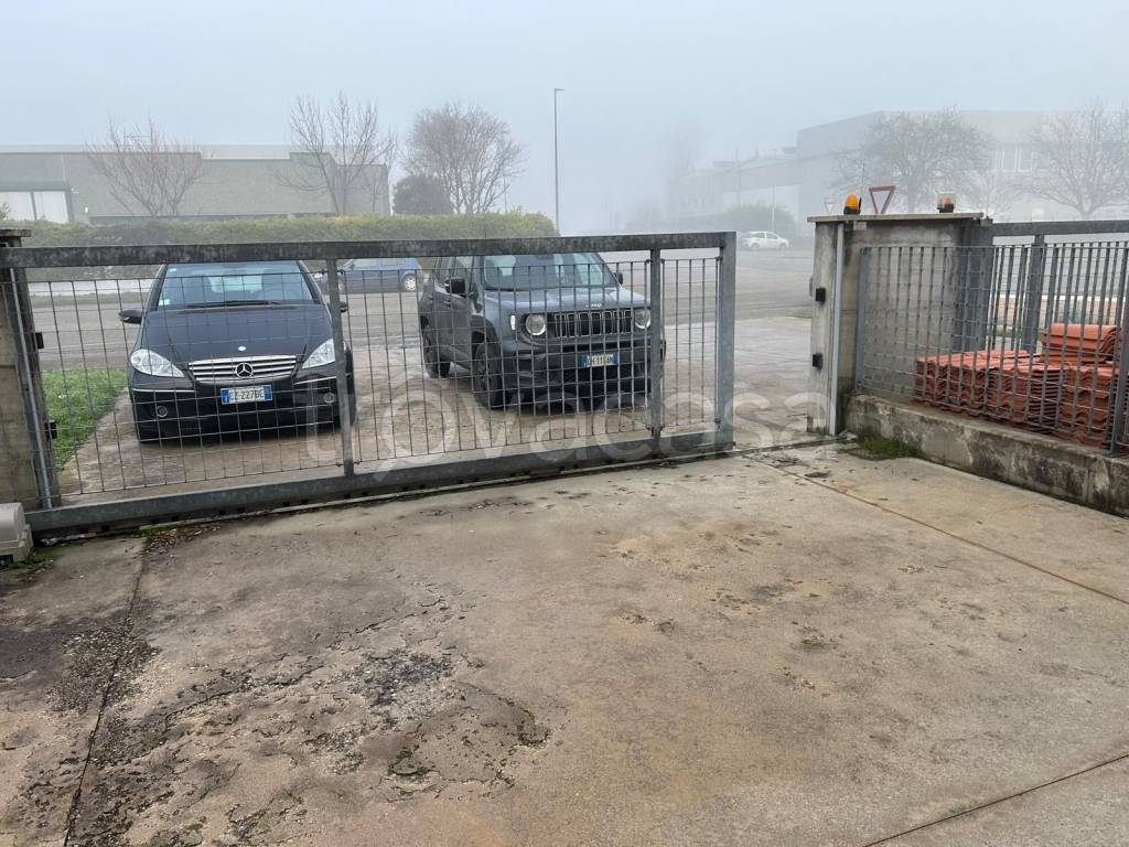 immagine annuncio 2 di 12