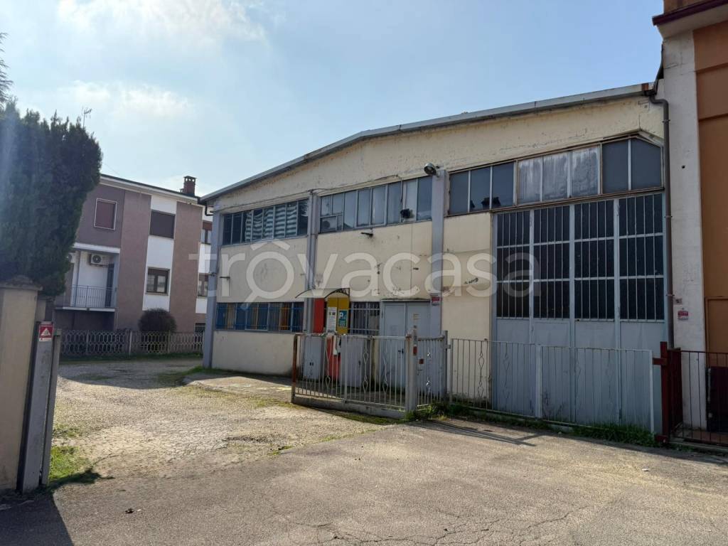 immagine annuncio 14 di 15