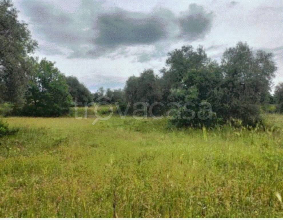 immagine annuncio 2 di 9