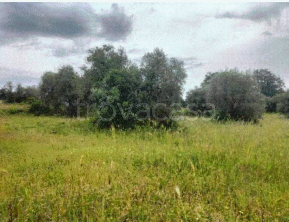 immagine annuncio 3 di 9