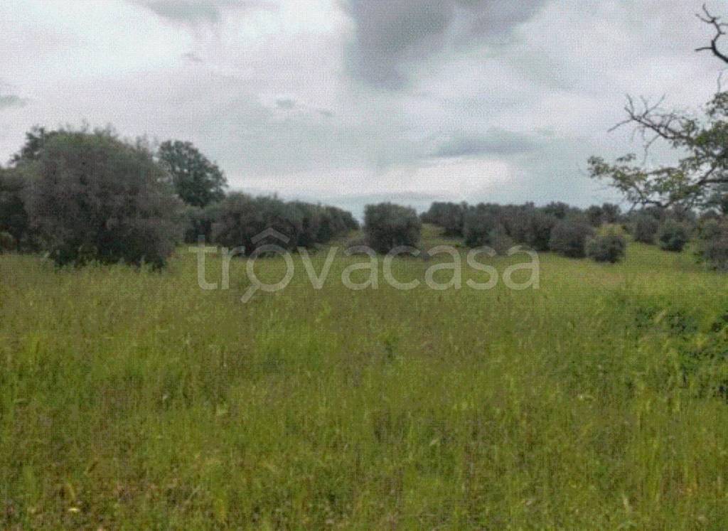 immagine annuncio 4 di 9