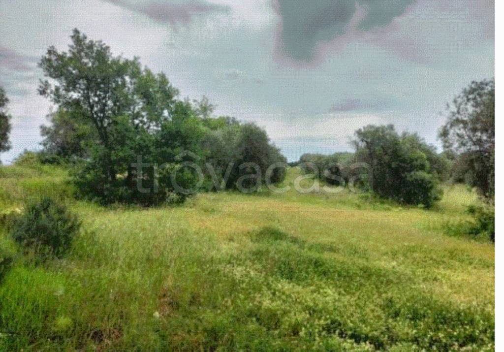 immagine annuncio 5 di 9