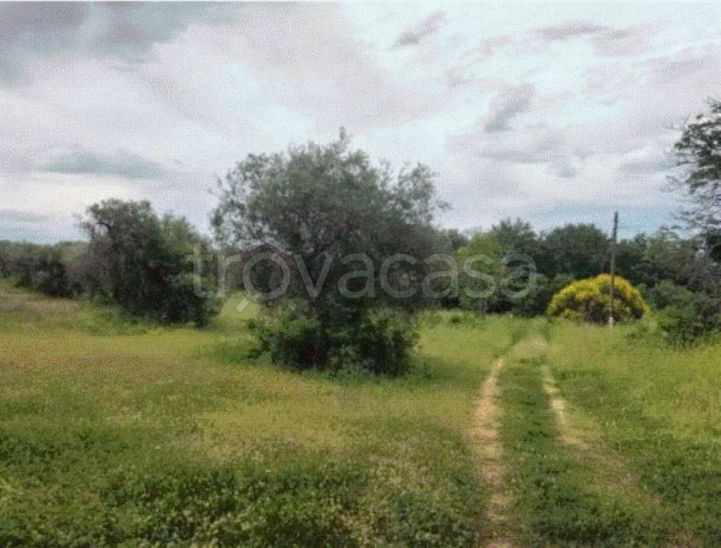 immagine annuncio 6 di 9