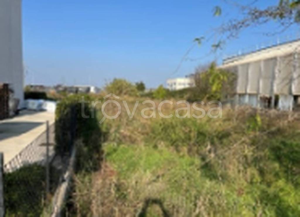 immagine annuncio 5 di 11