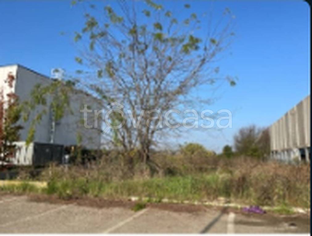 immagine annuncio 7 di 11