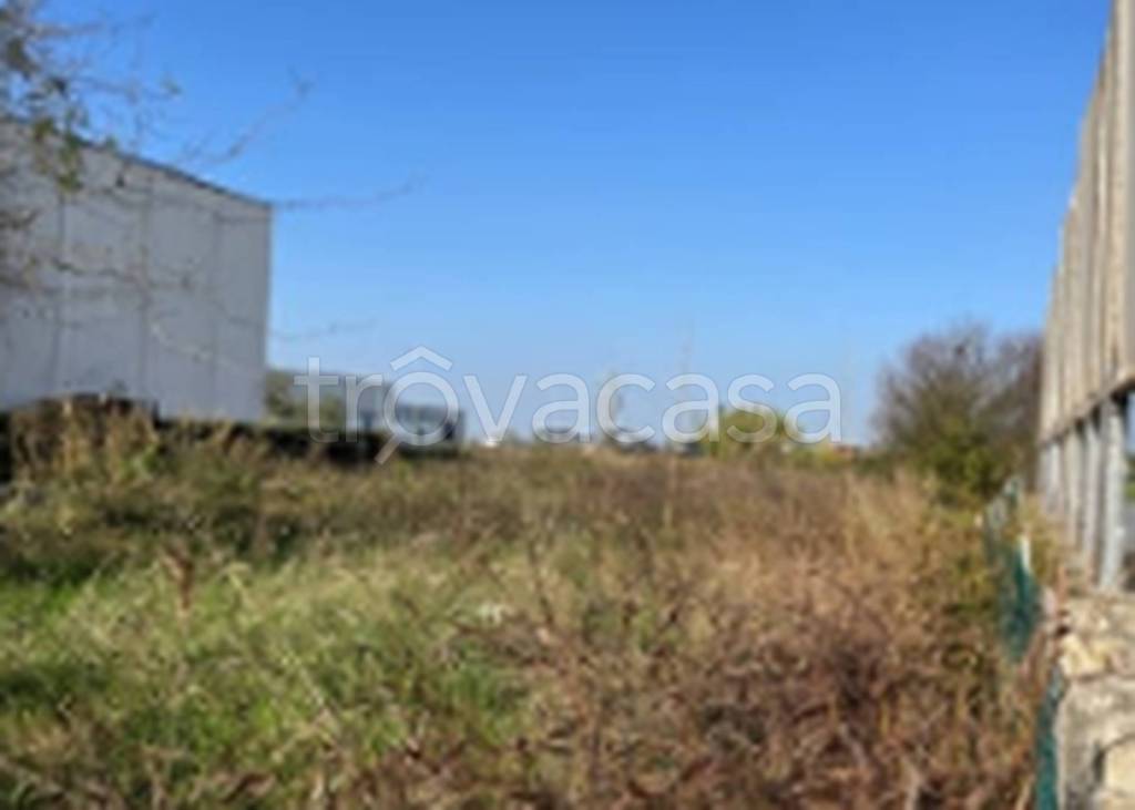 immagine annuncio 9 di 11